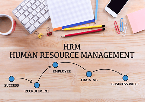 Executive in Human Resource (IT)